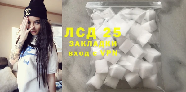 прущие грибы Абдулино