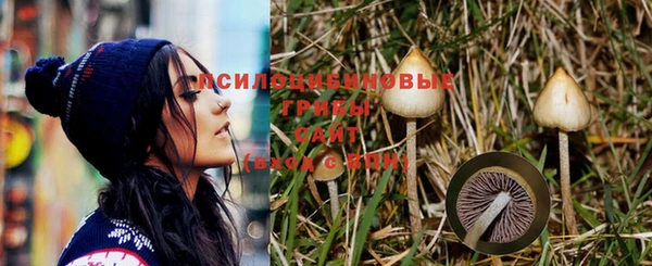 герыч Абаза