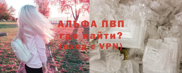 прущие грибы Абдулино