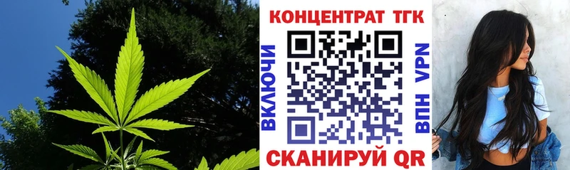 закладка  Сорск  ТГК концентрат 