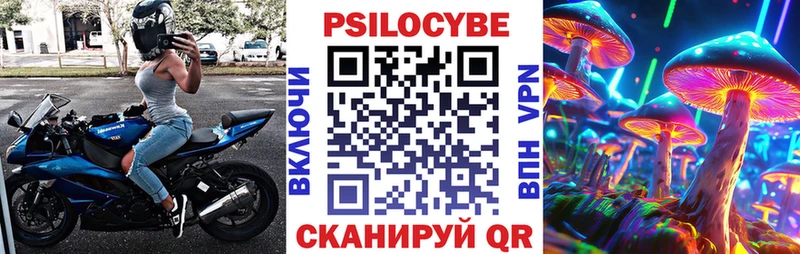 закладка Сорск Псилоцибиновые грибы прущие грибы